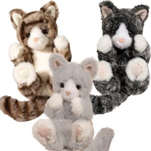 Lil’ Handful Kitten