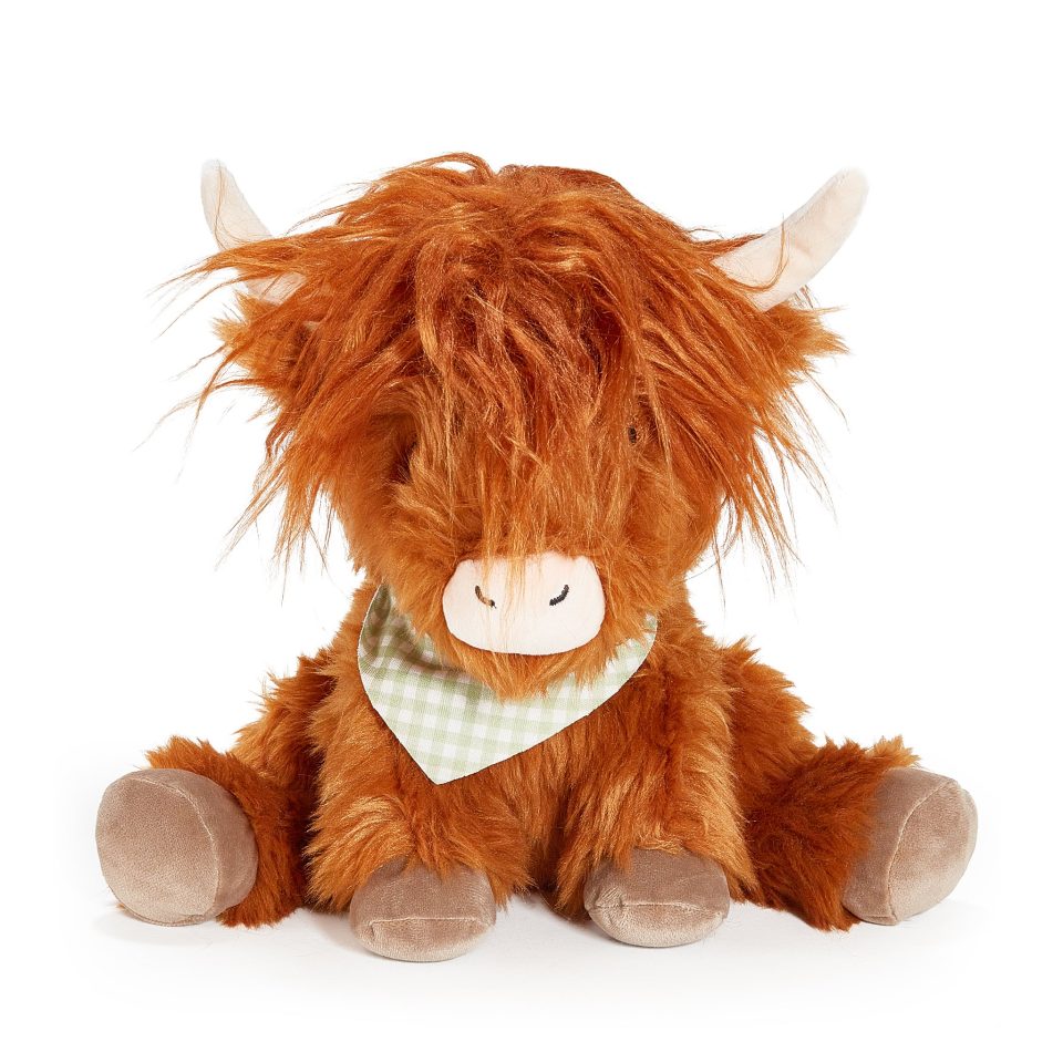 Hamish the Highland Cow